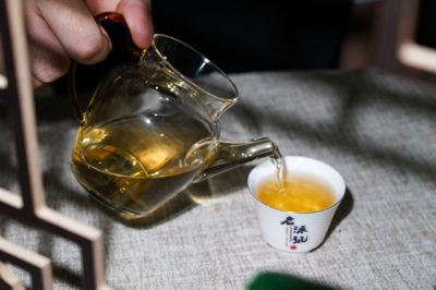 大益普洱茶 以禮儀之魂，塑品牌之韻——品牌與禮儀活動策劃方案